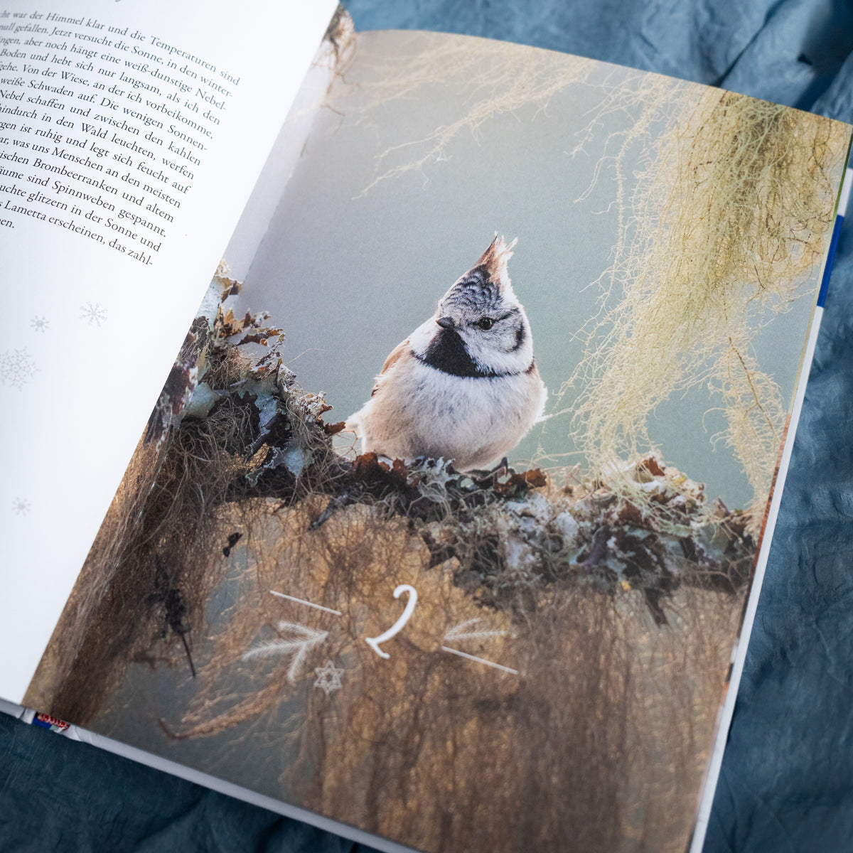 Advent Calendar - Winter Moments in Nature - Signed Copy
