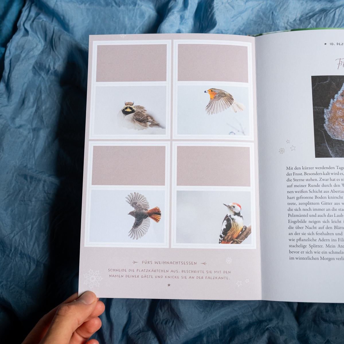 Advent Calendar - Winter Moments in Nature - Signed Copy