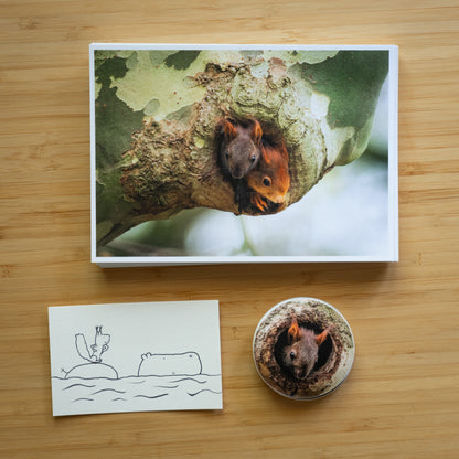 Nil Nature Mail Club
