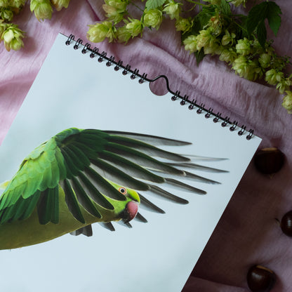 Wildlife Calendar 2027 by Gamander López