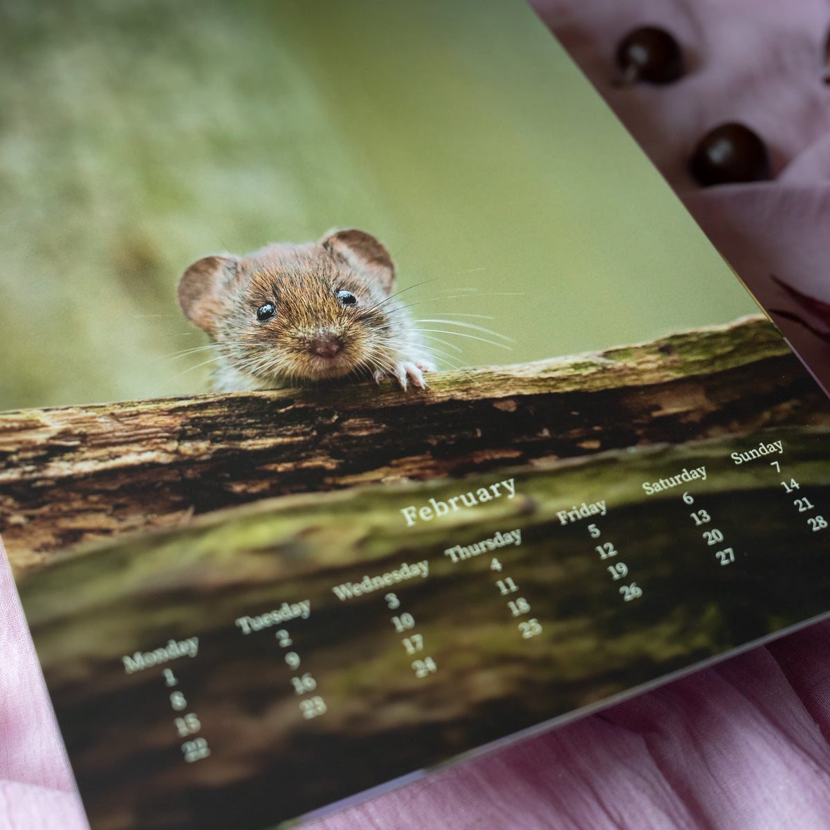 Wildlife Calendar 2027 by Gamander López