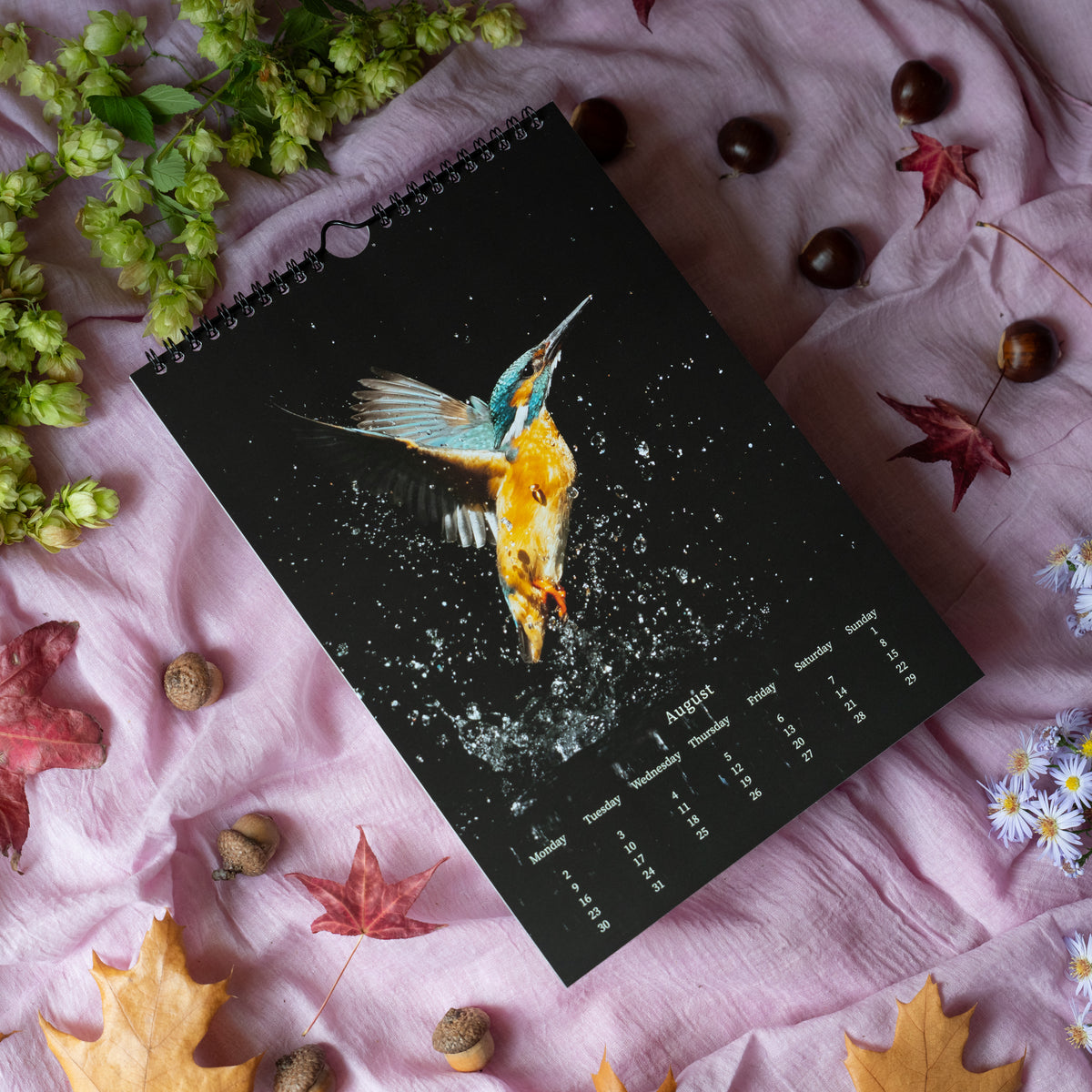 Wildlife Calendar 2027 by Gamander López