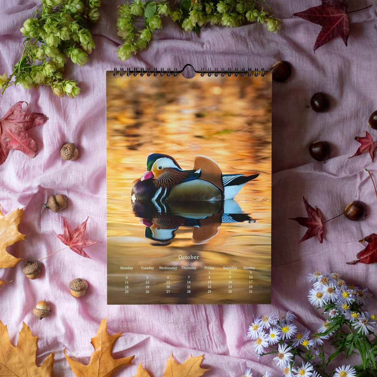 Wildlife Calendar 2027 by Gamander López